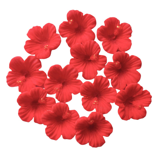 Small Hibiscus Flowers x 12 - Edible Icing Cake Decorations