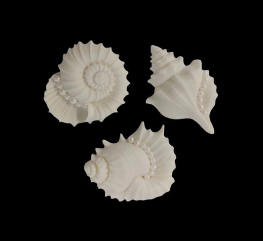 Large Fancy Shells x 3 - Edible Icing Cake Decorations
