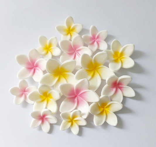 Frangipani / Plumeria x 15 - 3 Sizes - 2 Colours - Edible Icing Cake Decorations