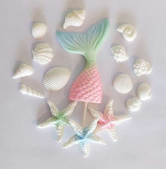 Mermaid Tail & Shells - Pink, Blue, Green