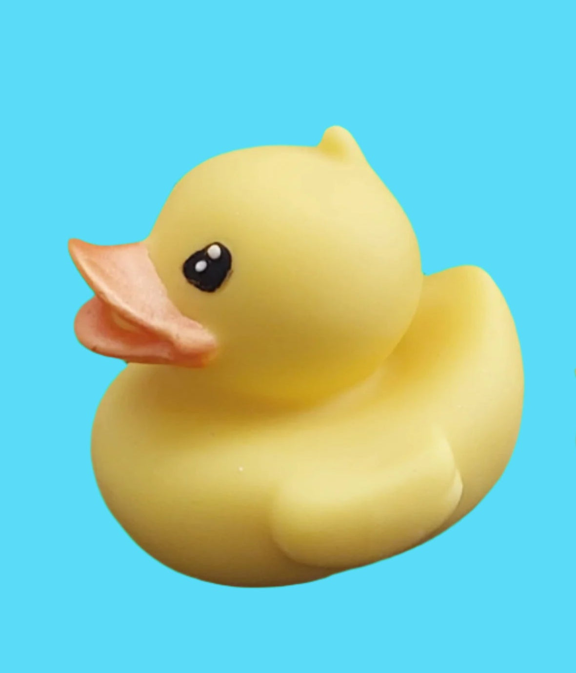 3D Duck, edible chocolate cake decoration