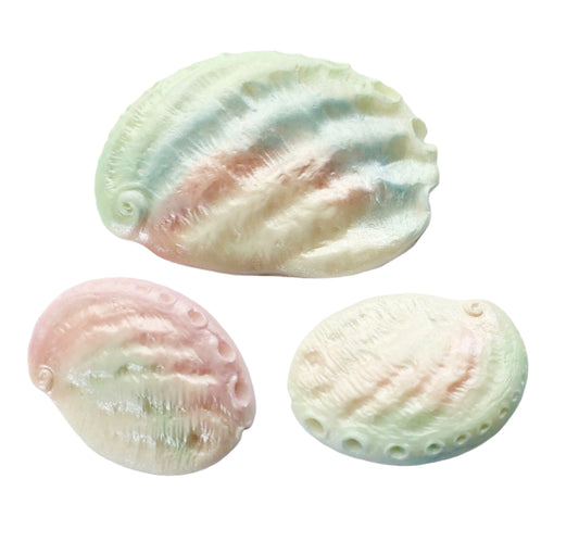 Paua Shells x 9 - Pearlised - Edible - Fondant Icing Cake Decorations