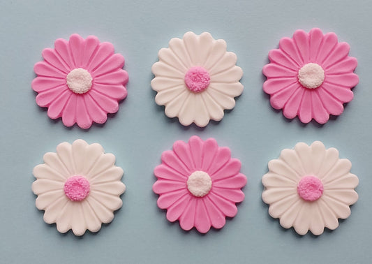 Daisies x 12 - 2 Colours - Edible Icing Cake Decorations