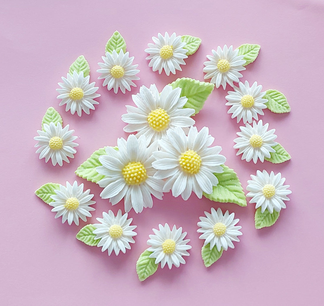 Daisy Edible Flowers & Leaves - Fondant Cake Toppers | Cake Candy NZ