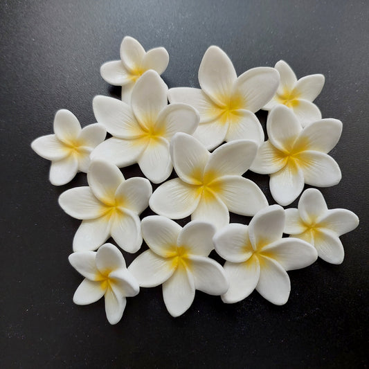 Frangipani / Plumeria x 12 - 3 Sizes - White - Edible Icing Cake Decorations
