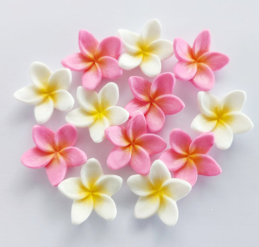 Frangipani / Plumeria x 12 - Pink & White - Edible Icing Cake Decorations