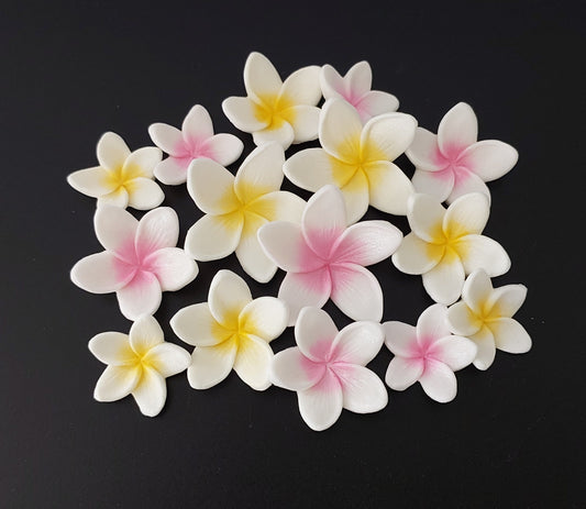 Frangipani / Plumeria x 15 - 3 Sizes - 2 Colours - Edible Icing Cake Decorations