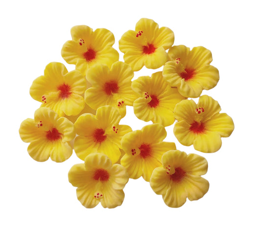 Small Hibiscus Flowers x 12 - Edible Icing Cake Decorations