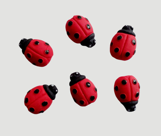Ladybirds / Ladybugs x 6